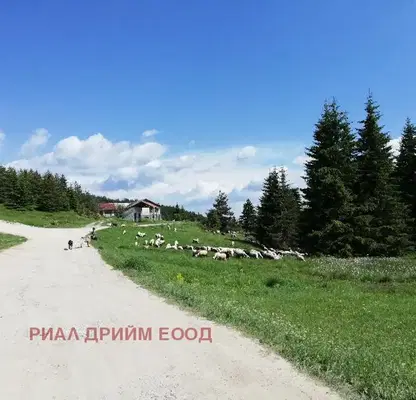 Photo 3 — Plot in Oblast Smolyan, Momchilovci