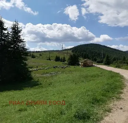 Photo 4 — Plot in Oblast Smolyan, Momchilovci