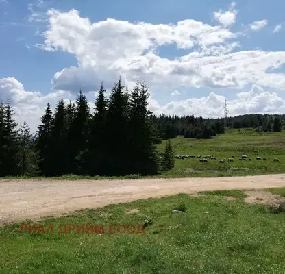 Photo 5 — Plot in Oblast Smolyan, Momchilovci