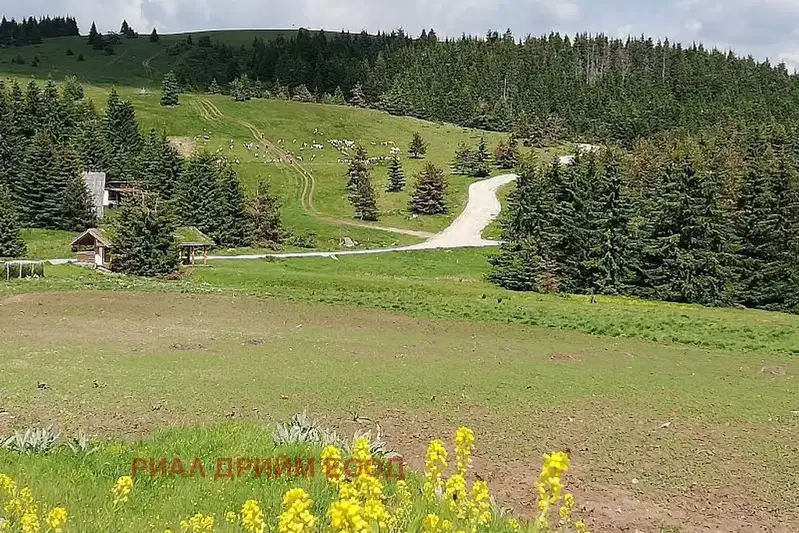 Plot in Oblast Smolyan, Momchilovci