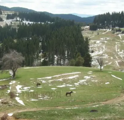 Photo 2 — Plot in Oblast Smolyan, Momchilovci