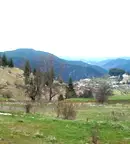 Парцел в Смолян, с. Момчиловци