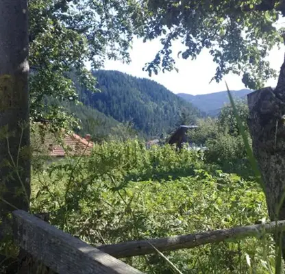 Photo 2 — Plot in Oblast Smolyan, Momchilovci
