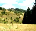 Снимка 2 — Парцел в Смолян, с. Момчиловци