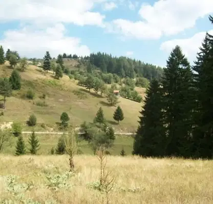Photo 2 — Plot in Oblast Smolyan, Momchilovci