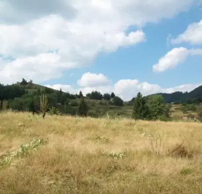 Photo 3 — Plot in Oblast Smolyan, Momchilovci