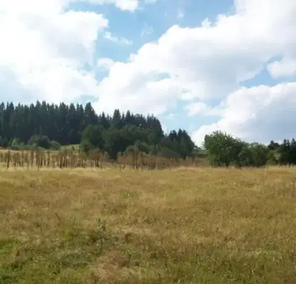 Photo 4 — Plot in Oblast Smolyan, Momchilovci