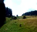 Снимка 5 — Парцел в Смолян, с. Момчиловци