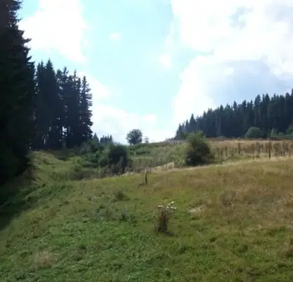 Photo 5 — Plot in Oblast Smolyan, Momchilovci