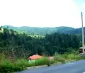 Снимка 2 — Парцел в Смолян, с. Момчиловци