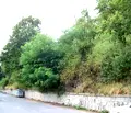 Снимка 3 — Парцел в Смолян, с. Момчиловци