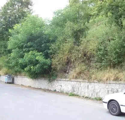 Photo 4 — Plot in Oblast Smolyan, Momchilovci