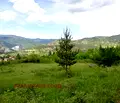 Снимка 3 — Парцел в Смолян, с. Павелско
