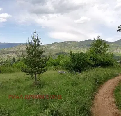Photo 4 — Plot in Oblast Smolyan, Pavelsko