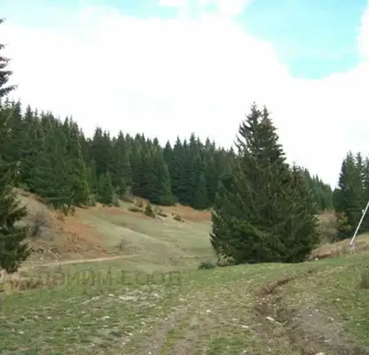 Photo 5 — Plot in Oblast Smolyan, Stoikite