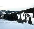 Снимка 4 — Парцел в Смолян, с. Стойките