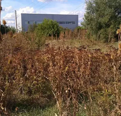 Снимка 2 — Парцел в София, Костинброд