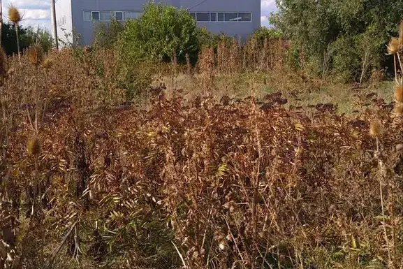 Парцел в София, Костинброд