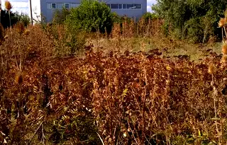 Парцел в София, Костинброд