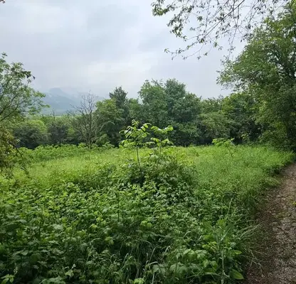 Photo 3 — Plot in област София, Pravec