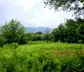 Снимка 4 — Парцел в София, Правец
