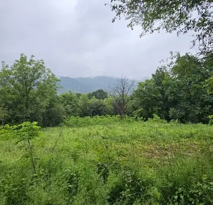 Photo 4 — Plot in област София, Pravec