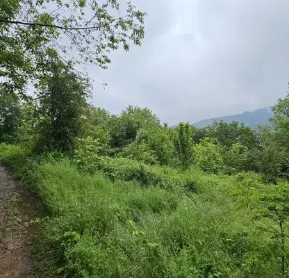 Photo 5 — Plot in област София, Pravec