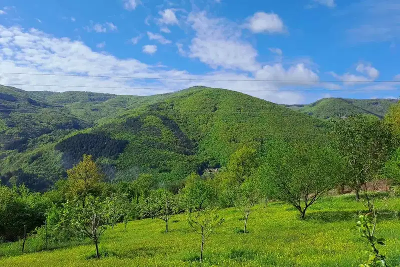 Парцел в София, Своге
