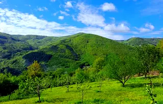 Парцел в София, Своге