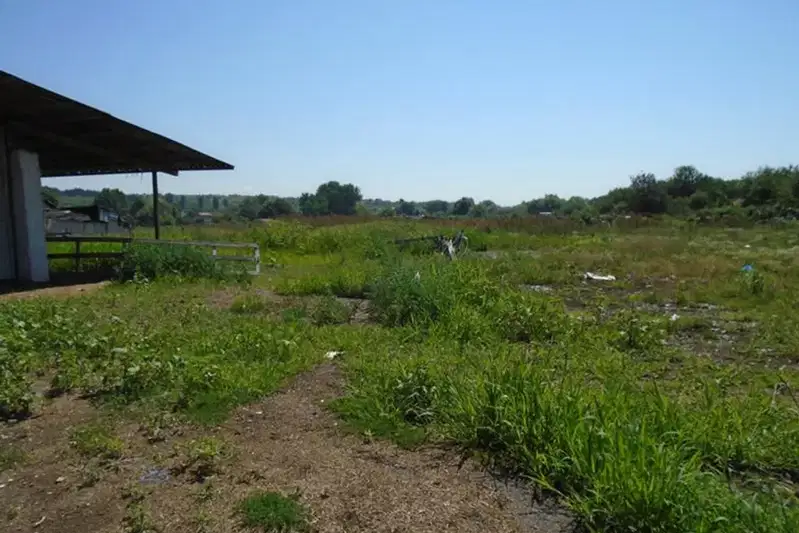 Plot in област София, Dragovishtica