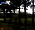 Снимка 3 — Парцел в София, с. Дръмша
