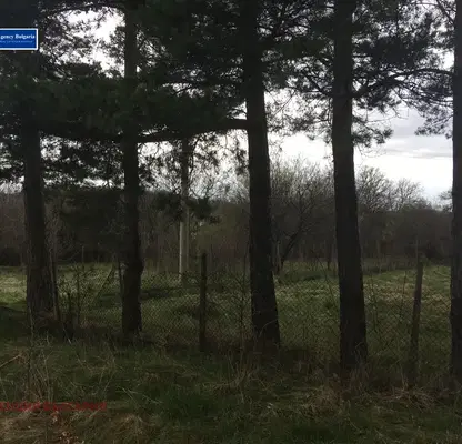 Снимка 3 — Парцел в София, с. Дръмша