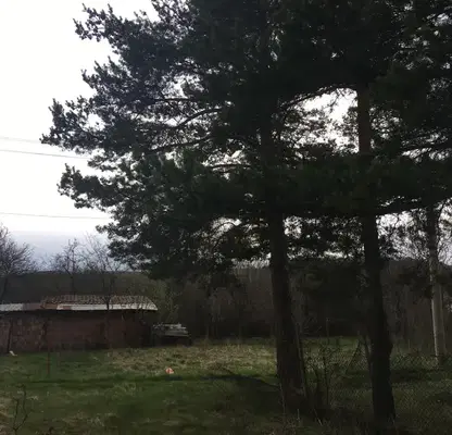 Снимка 4 — Парцел в София, с. Дръмша