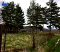 Снимка 5 — Парцел в София, с. Дръмша