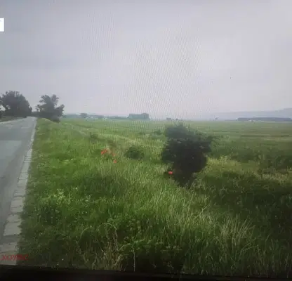 Снимка 4 — Парцел в София, с. Мусачево