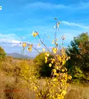 Парцел в Стара Загора, с. Борилово