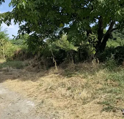 Снимка 4 — Парцел в Стара Загора, с. Дълбоки