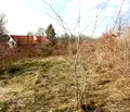 Снимка 4 — Парцел във Велико Търново, с. Къпиново