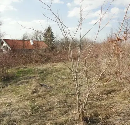 Снимка 4 — Парцел във Велико Търново, с. Къпиново