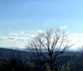 Снимка 2 — Парцел във Велико Търново, с. Шереметя