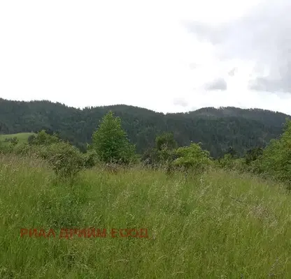 Photo 2 — Agricultural Land in Oblast Smolyan, Momchilovci