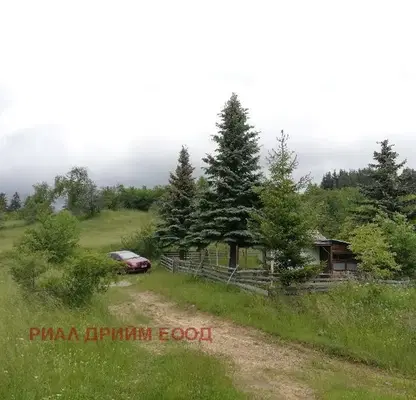 Photo 3 — Agricultural Land in Oblast Smolyan, Momchilovci