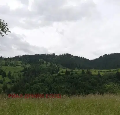 Photo 4 — Agricultural Land in Oblast Smolyan, Momchilovci