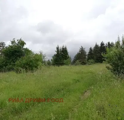 Photo 5 — Agricultural Land in Oblast Smolyan, Momchilovci