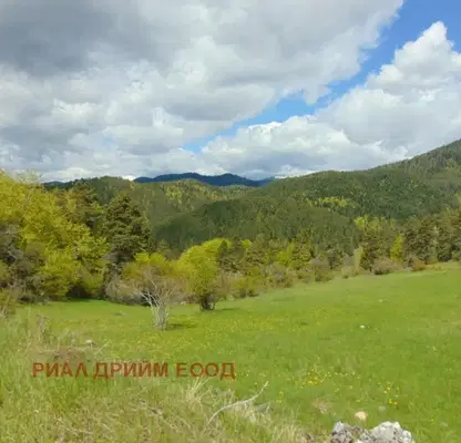 Photo 2 — Agricultural Land in Oblast Smolyan, с. Турян
