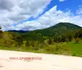 Снимка 3 — Земеделски имот в Смолян, с. Турян