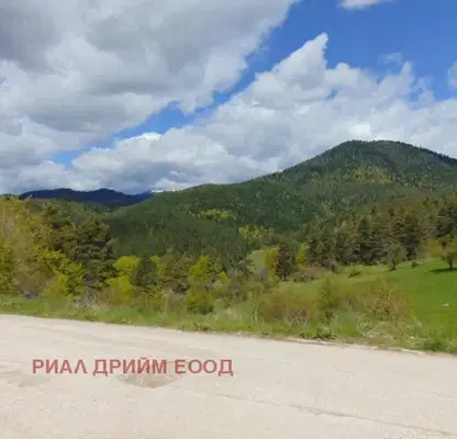 Photo 3 — Agricultural Land in Oblast Smolyan, с. Турян