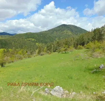 Photo 4 — Agricultural Land in Oblast Smolyan, с. Турян