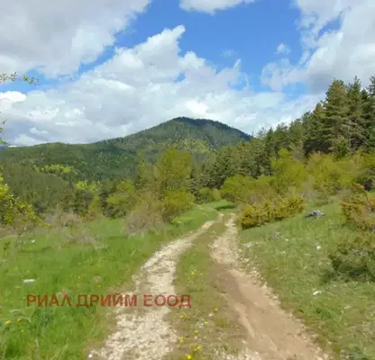 Photo 5 — Agricultural Land in Oblast Smolyan, с. Турян