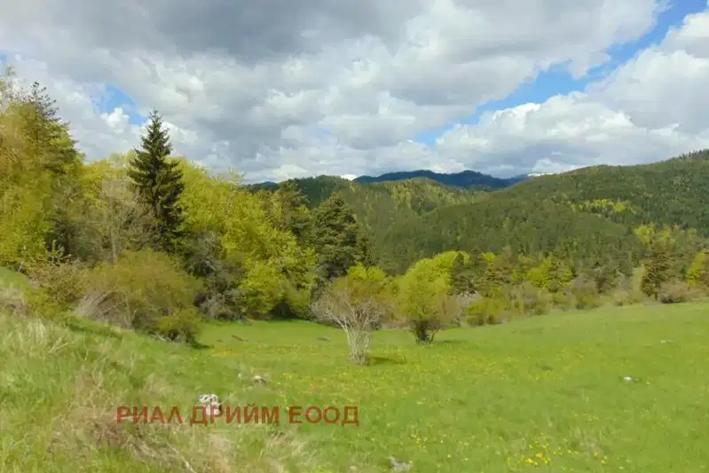 Agricultural Land in Oblast Smolyan, с. Турян